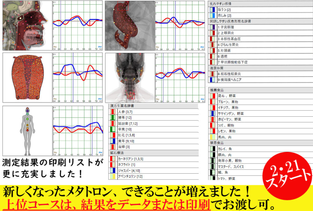 メタトロン（波動測定）